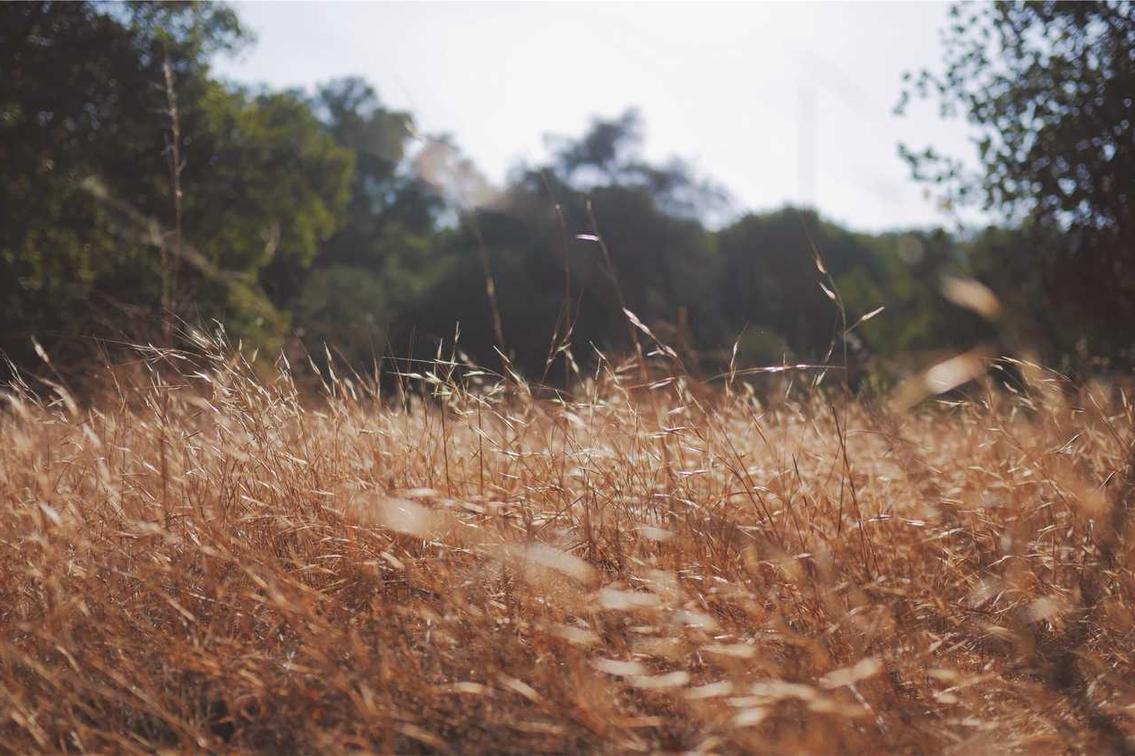 Id saepe est velit blanditiis consectetur dolorem repellat