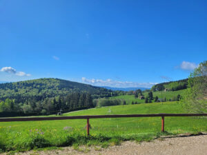 Vue en été depuis le chalet de la Chaume des Veaux